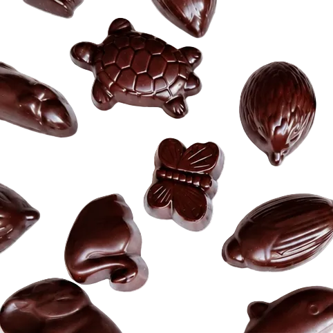 Petits animaux en chocolat noir en forme de tortue, papillon et autres formes